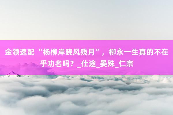 金领速配 “杨柳岸晓风残月”，柳永一生真的不在乎功名吗？_仕途_晏殊_仁宗