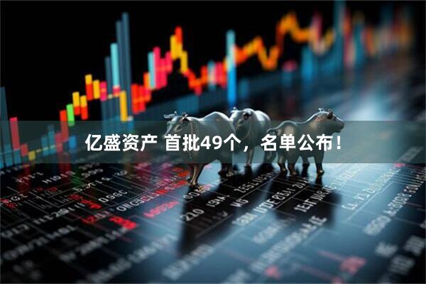 亿盛资产 首批49个，名单公布！